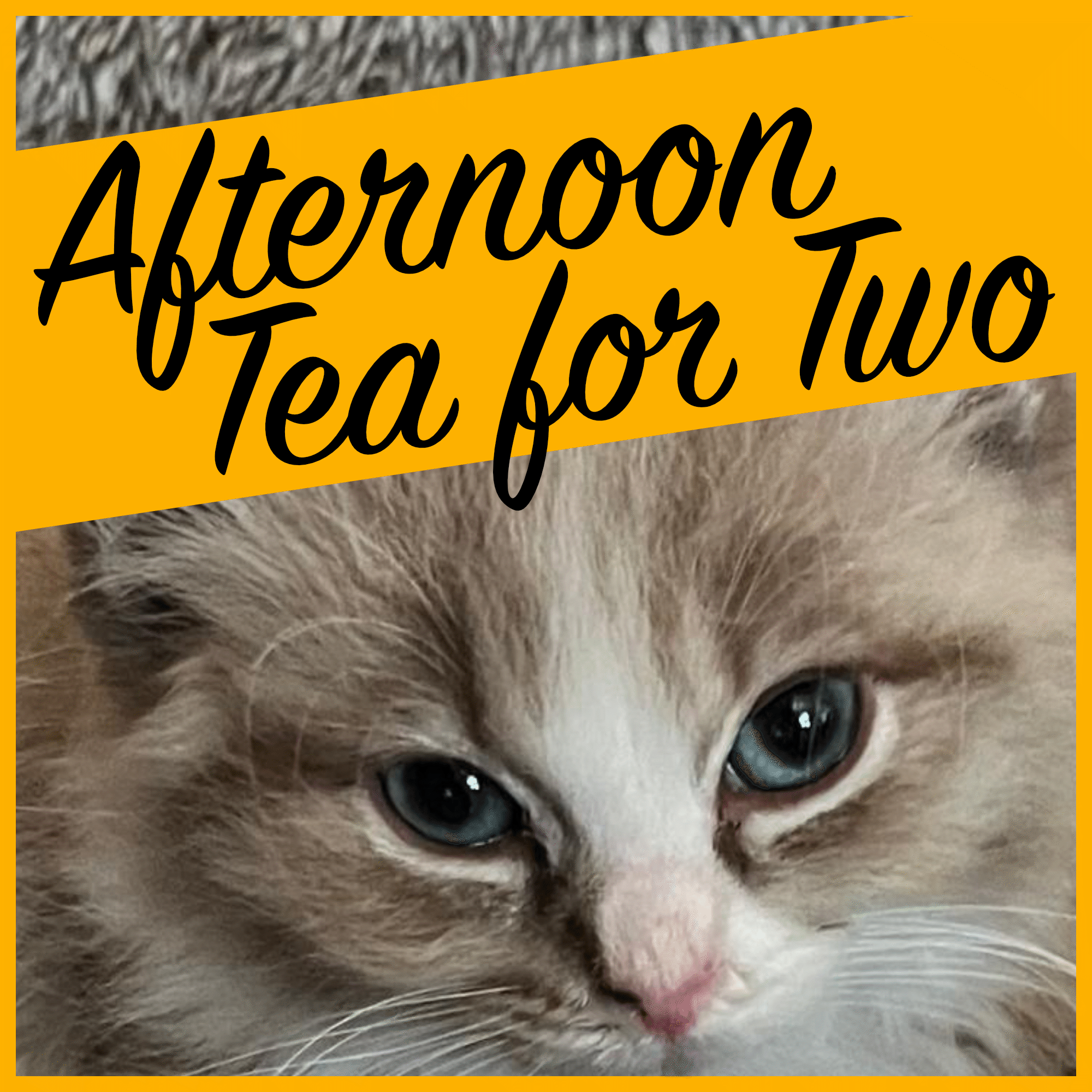 Afternoon Tea for Two (Including a Hot Drink)